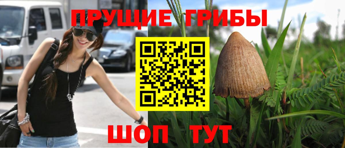 Троицк  ТГК  МАРИХУАНА  МАРИХУАНА  NBOMe  Вход с VPN  Меф кристаллы  ГАШ 