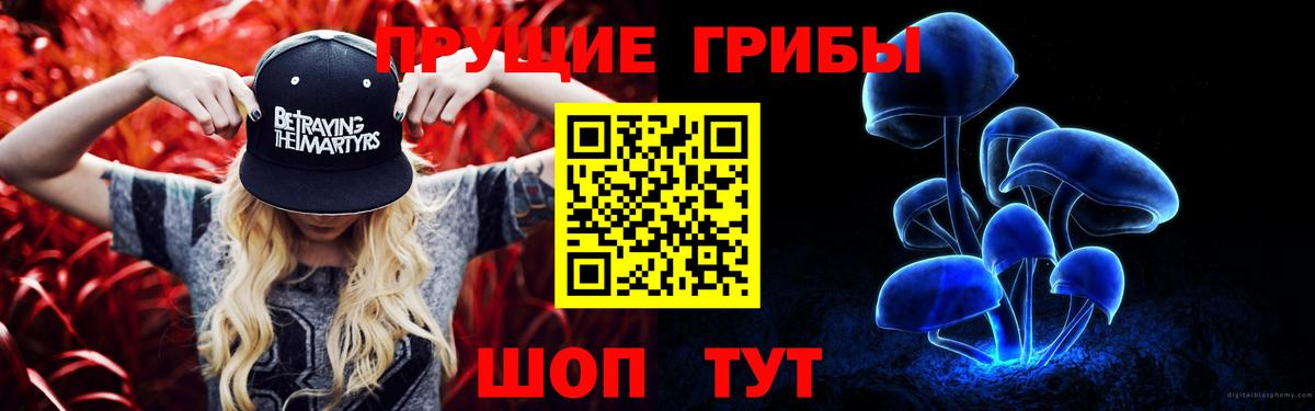 Троицк  Псилоцибиновые грибы Psilocybe  Вход с VPN  Псилоцибиновые грибы прущие грибы 